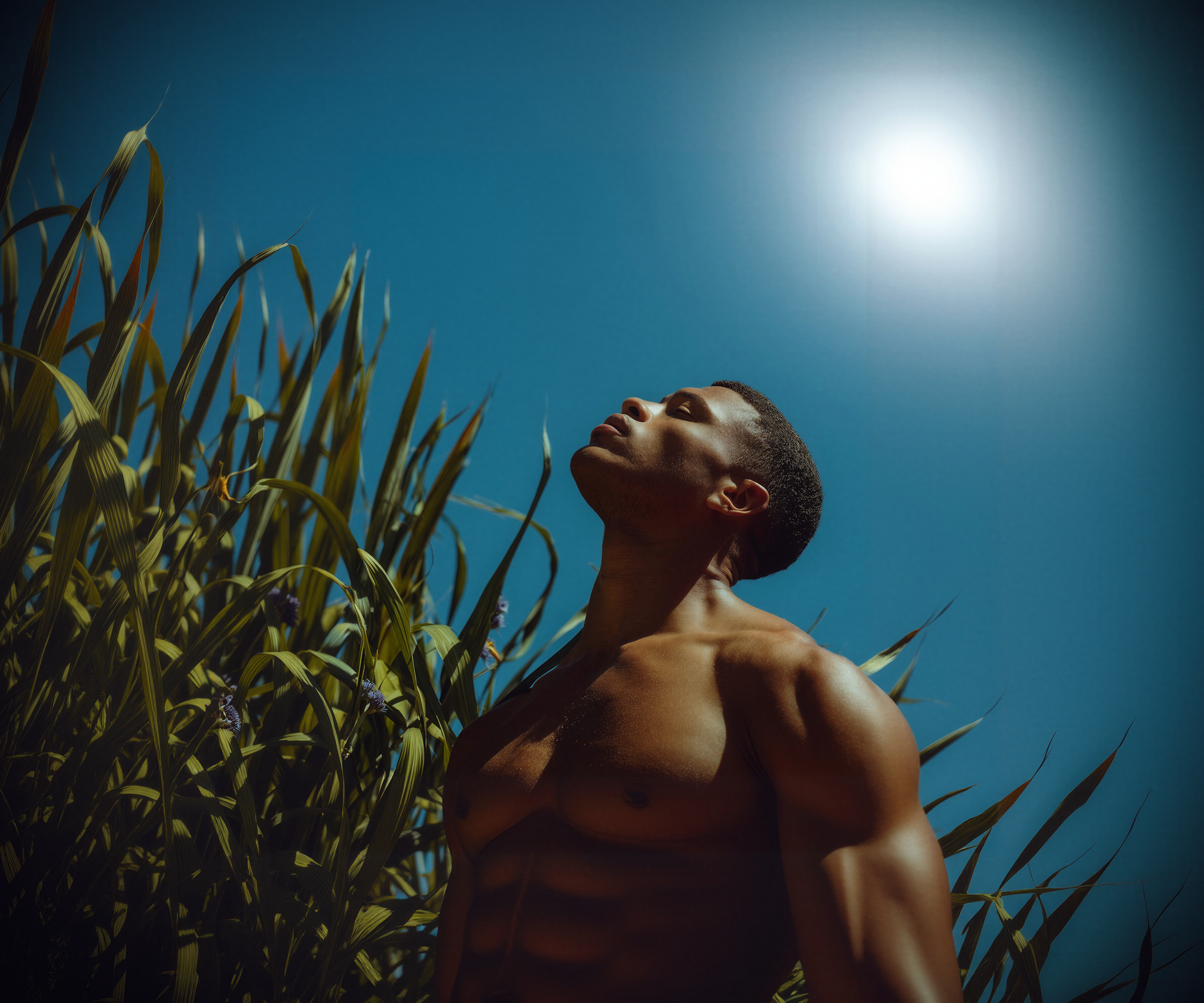 Analysis — Kyma Health